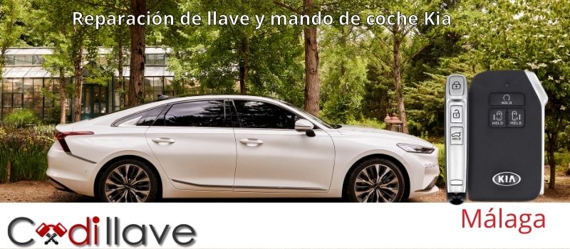 reparacion de mandos y llaves de coche Málaga codillave